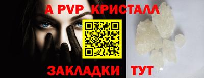 шишки Долгопрудный