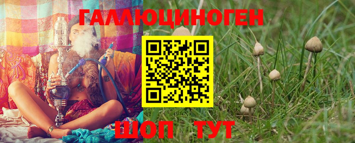 Псилоцибиновые грибы мицелий  Вход с VPN  Елец 